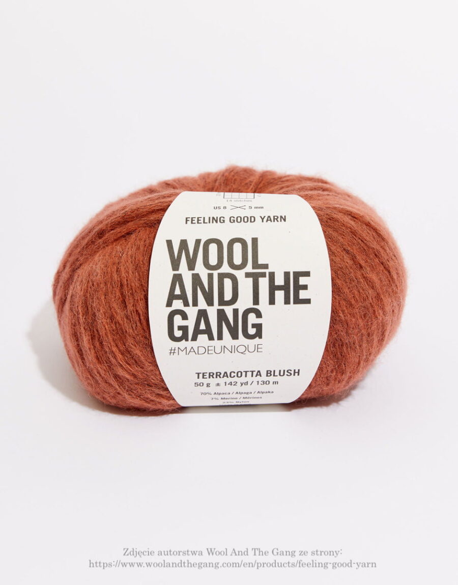 ceglana wełna dmuchana z alpaki wool and the gang feeling good yarn